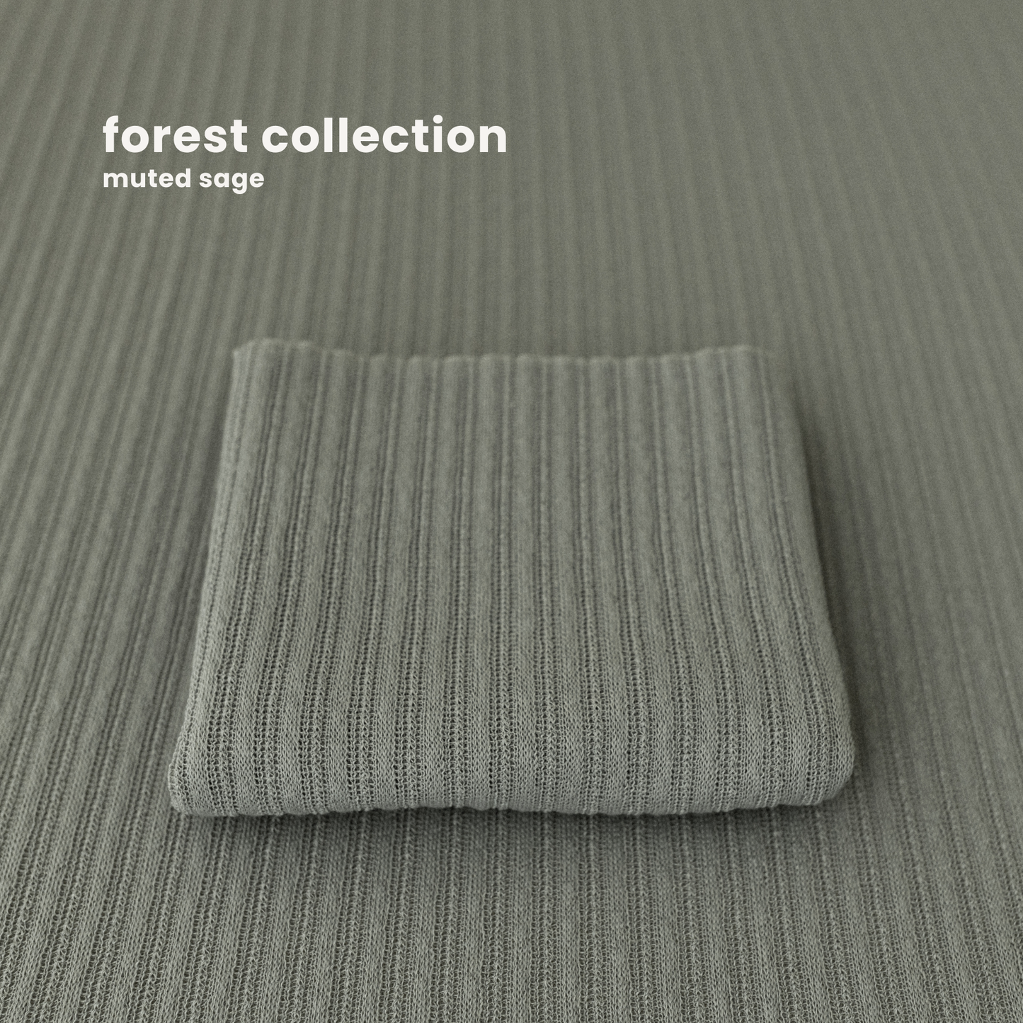 FOREST COLLECTION : MUTED SAGE