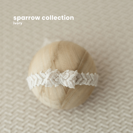 SPARROW COLLECTION : IVORY