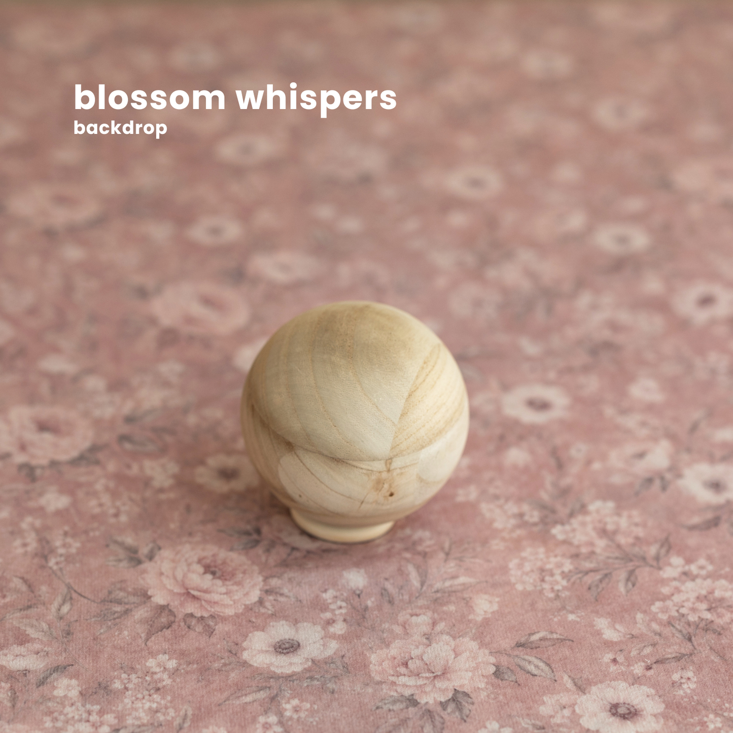 BLOSSOM WHISPERS : backdrop