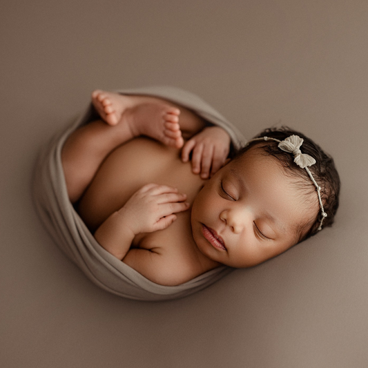 BAMBI COLLECTION : ACORN