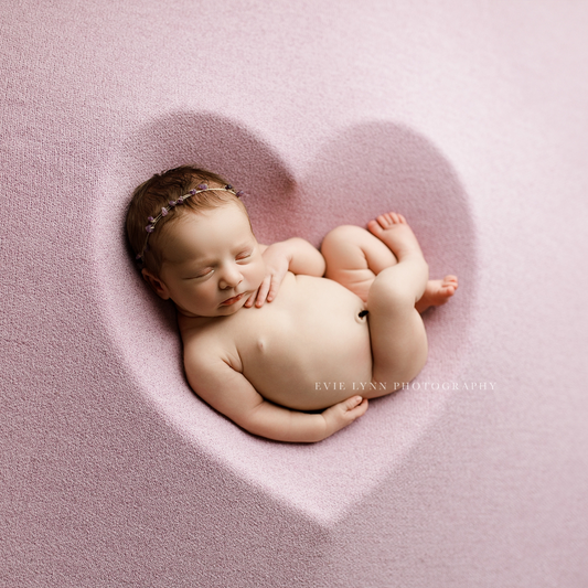 SIERRA COLLECTION : WISTERIA