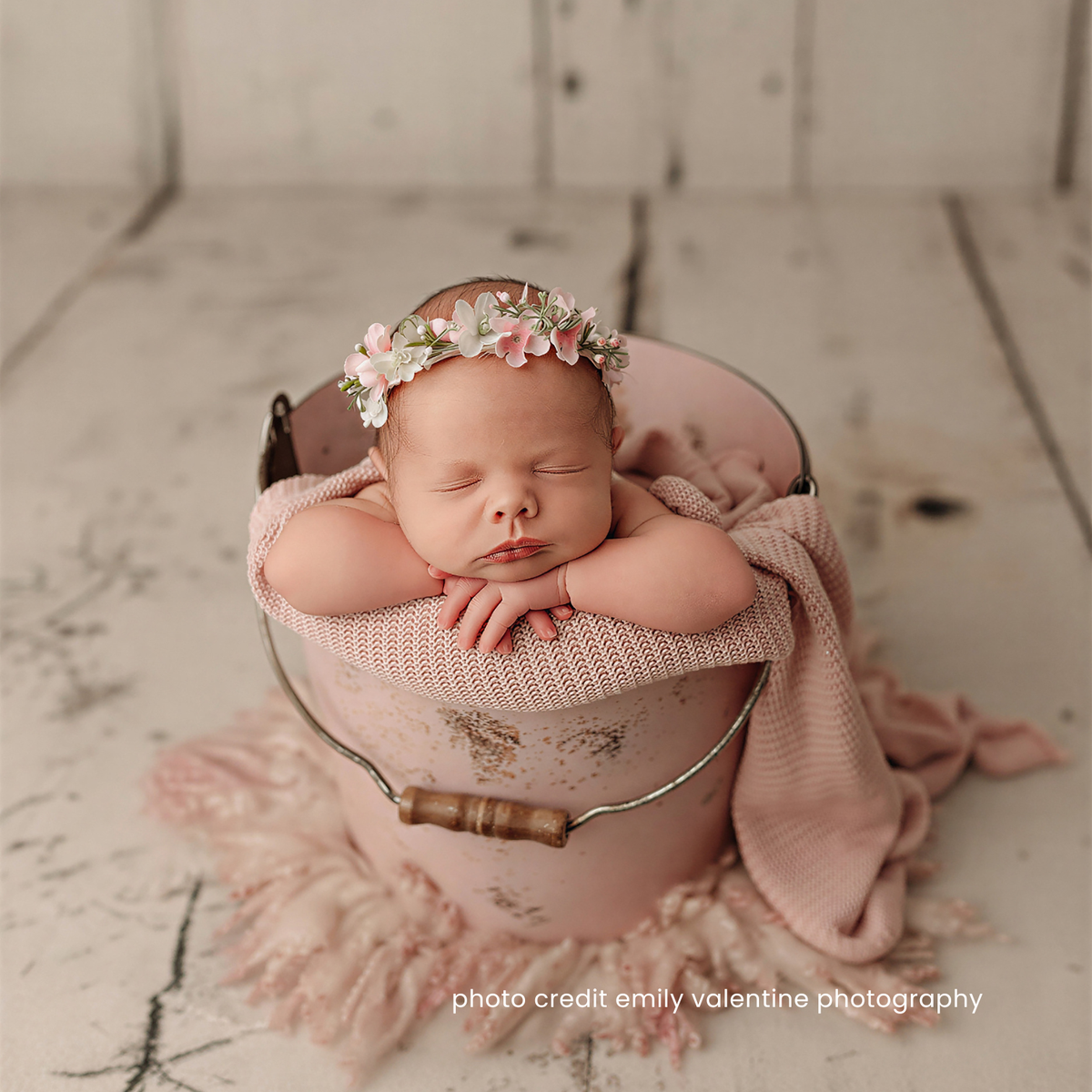 WILLOW COLLECTION : BLUSH