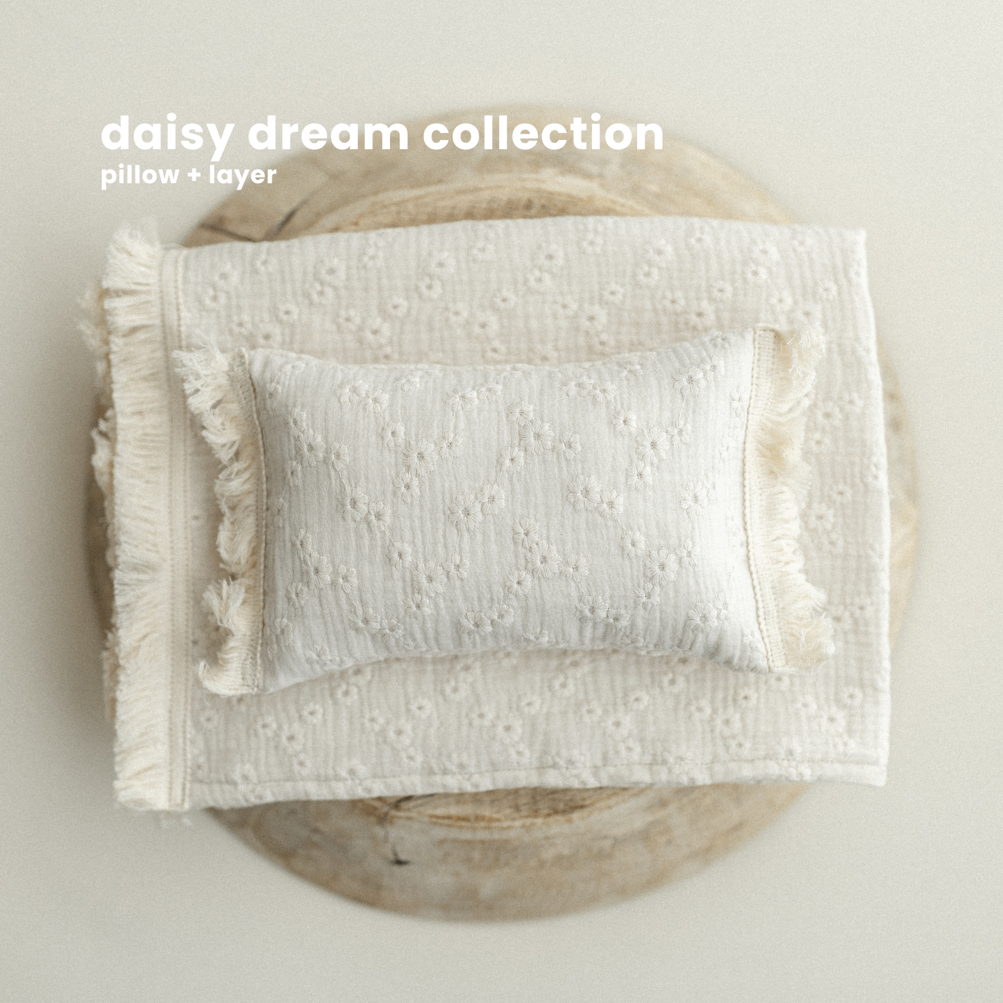 DAISY DREAM COLLECTION