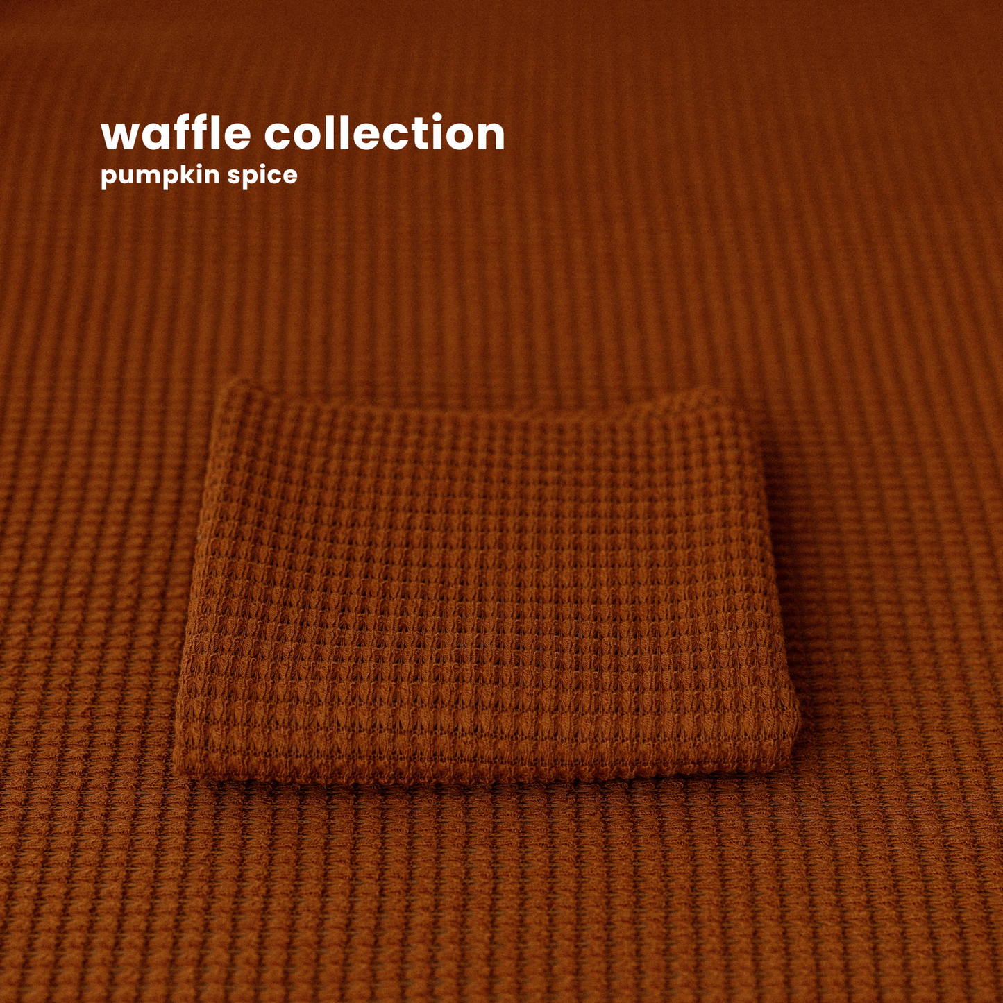 WAFFLE COLLECTION : PUMPKIN SPICE