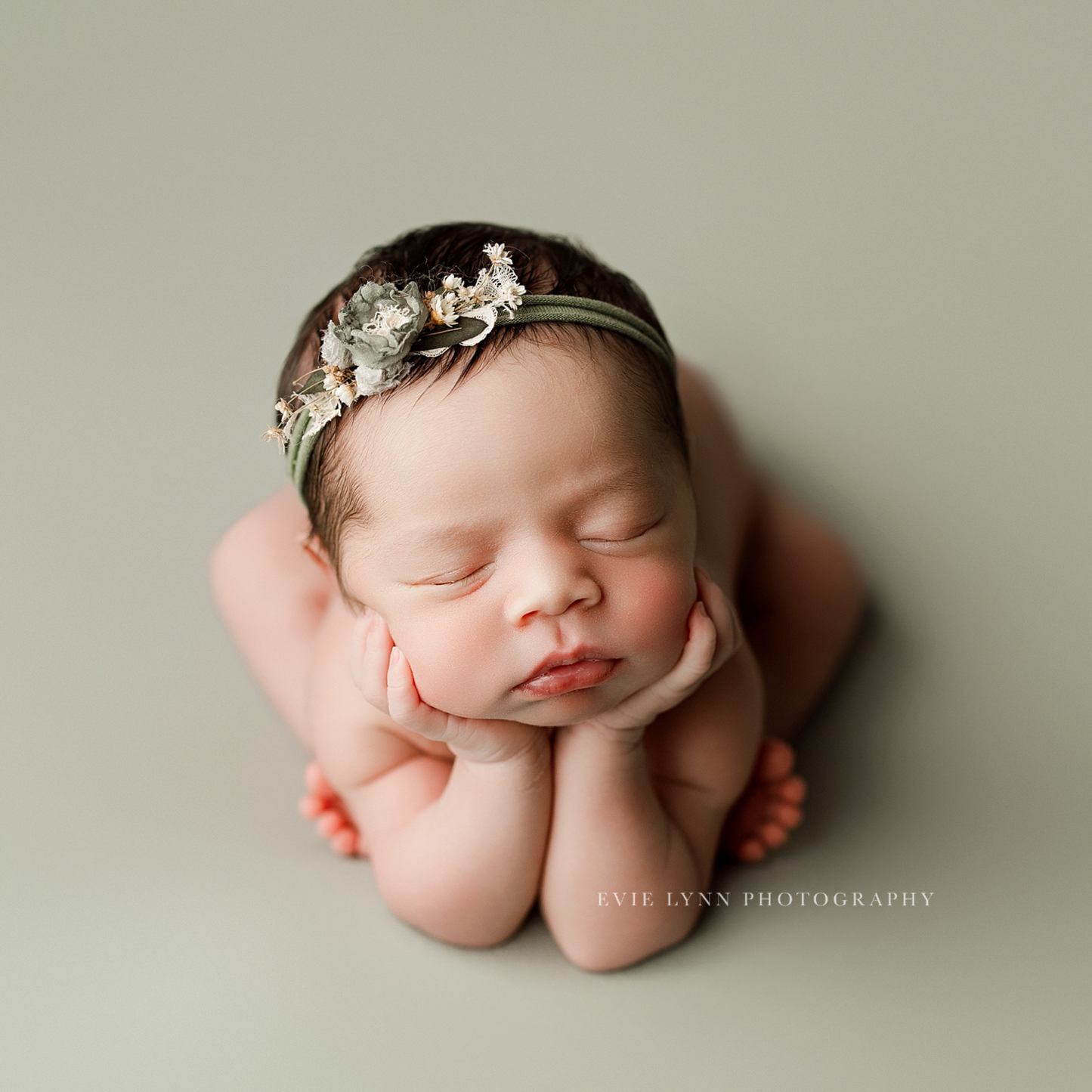 BAMBI COLLECTION : SAGE