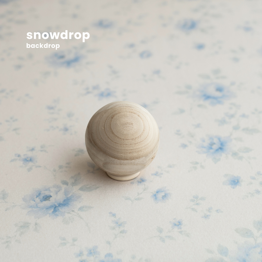SNOWDROP : backdrop