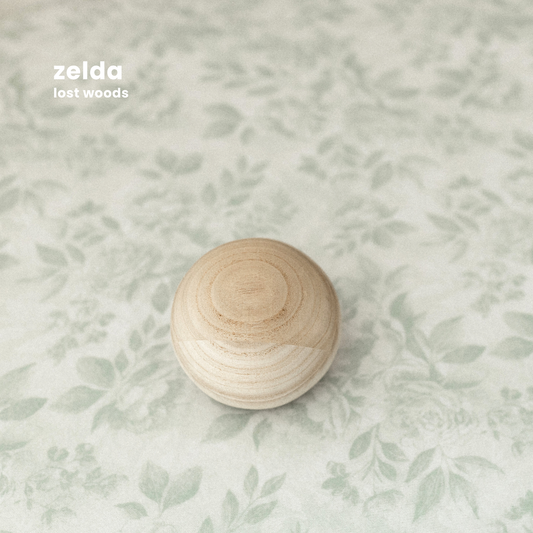ZELDA : lost woods