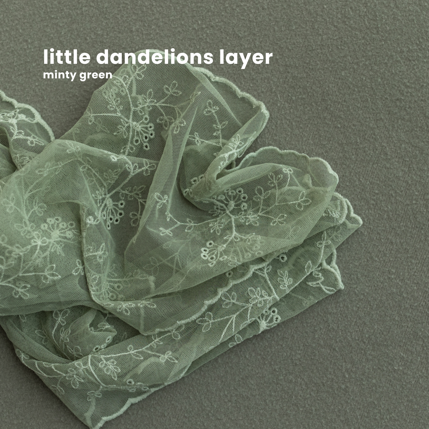 LITTLE DANDELIONS LAYER : minty