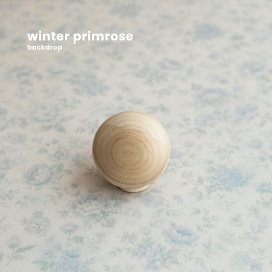 WINTER PRIMROSE : backdrop