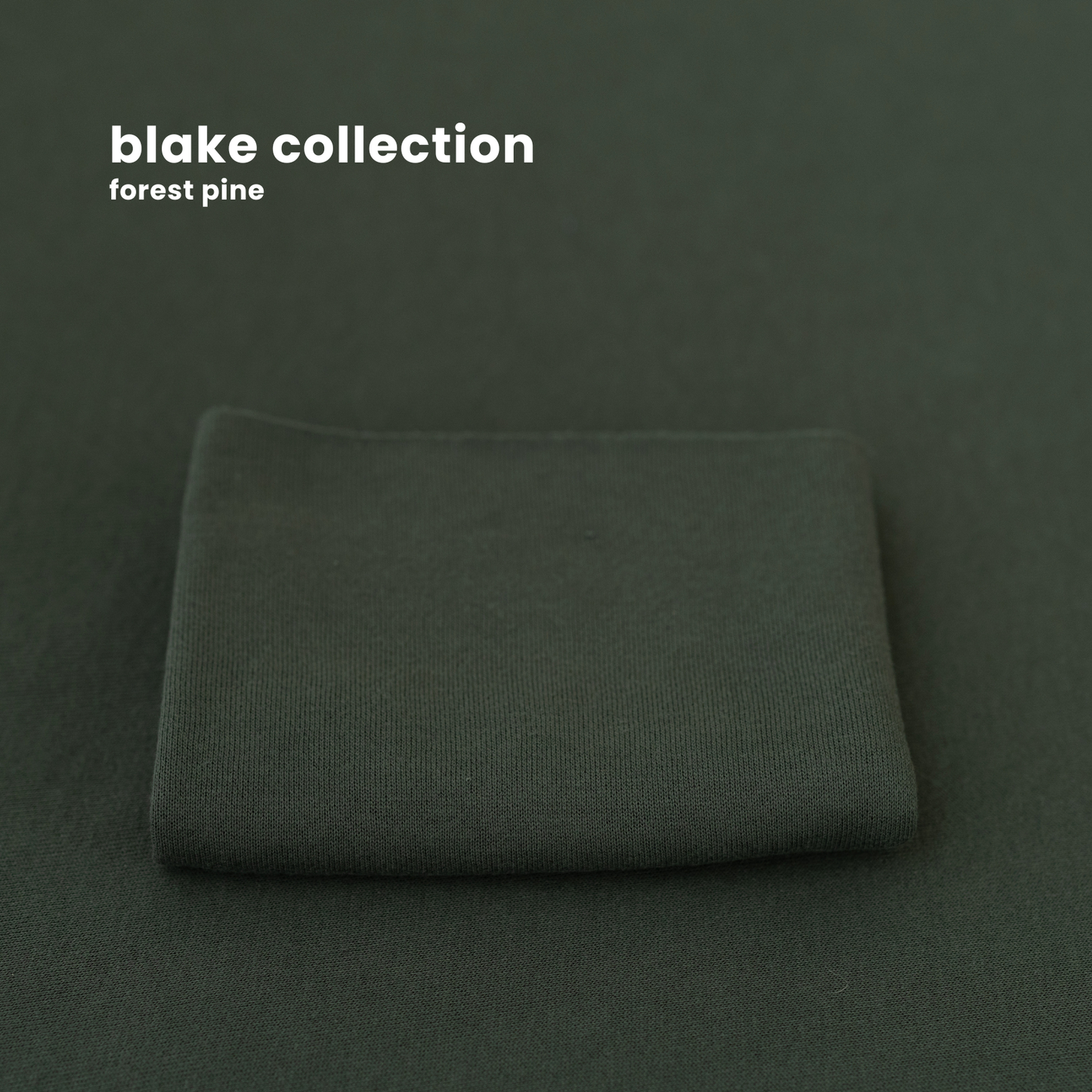 BLAKE COLLECTION : forest pine