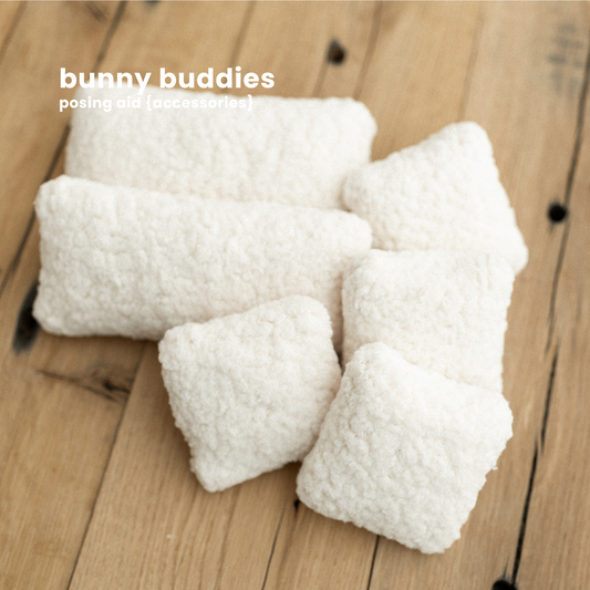 BUNNY BUDDIES : accessories