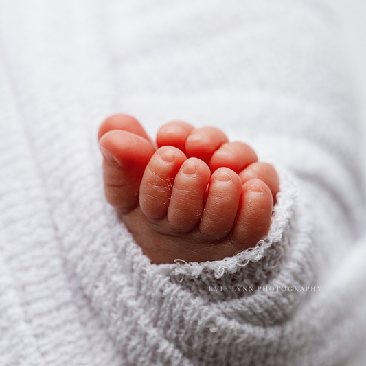 SIERRA COLLECTION : SUPER WHITE