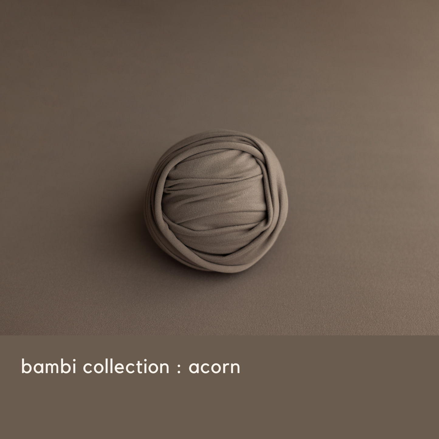 BAMBI COLLECTION : ACORN