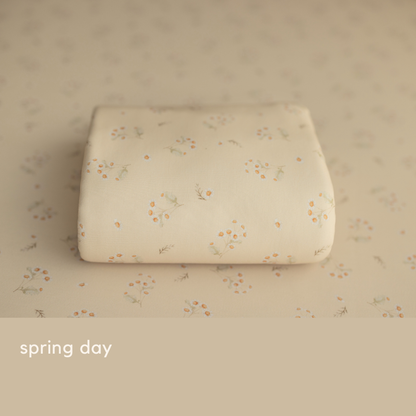 SPRING DAY