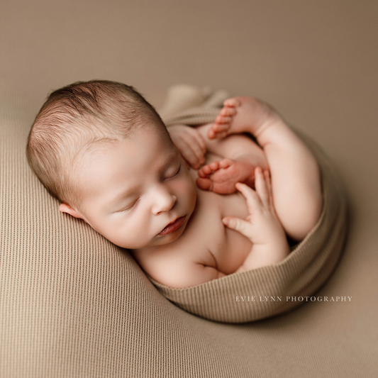 TAHOE COLLECTION : BARK