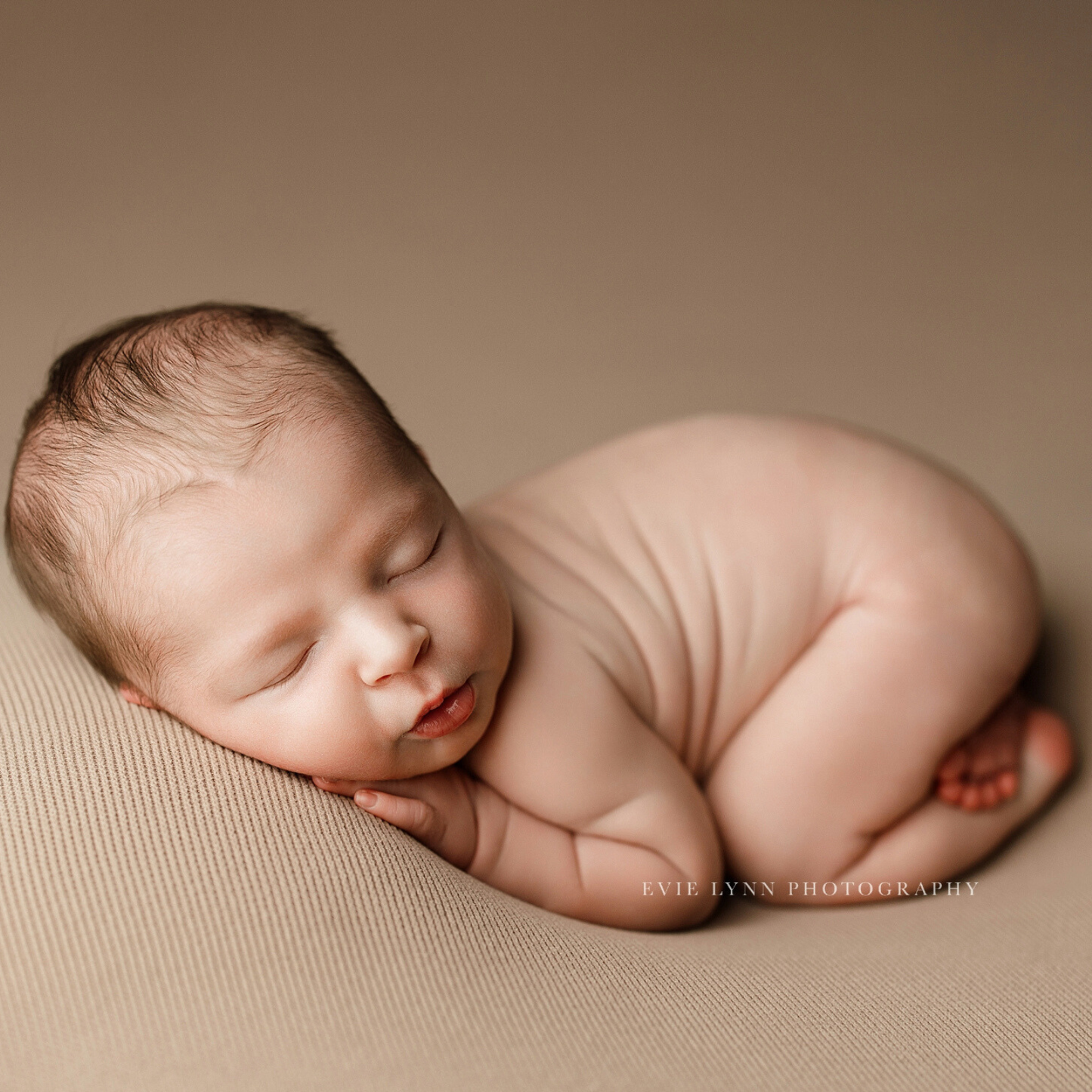 TAHOE COLLECTION : BARK