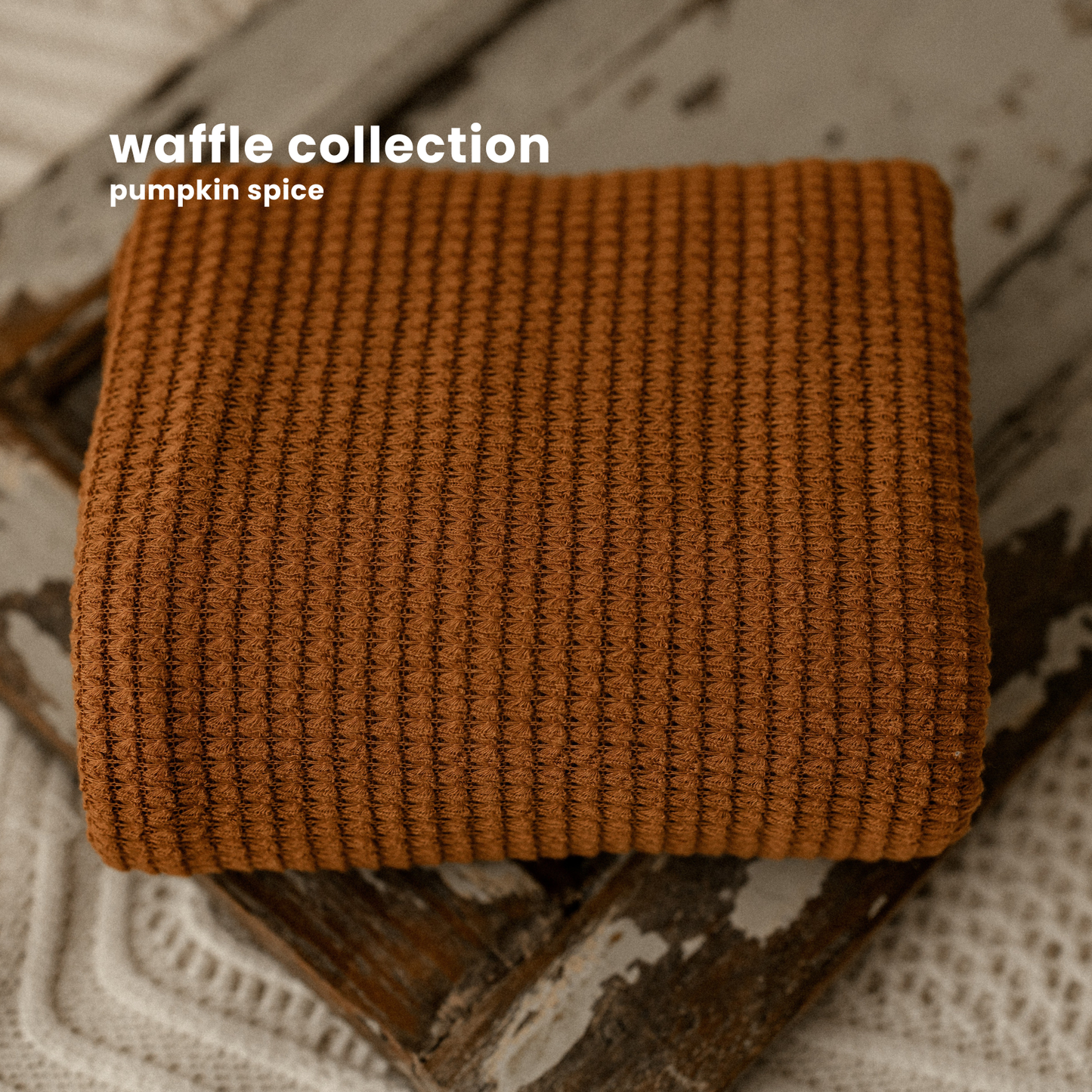 WAFFLE COLLECTION : PUMPKIN SPICE