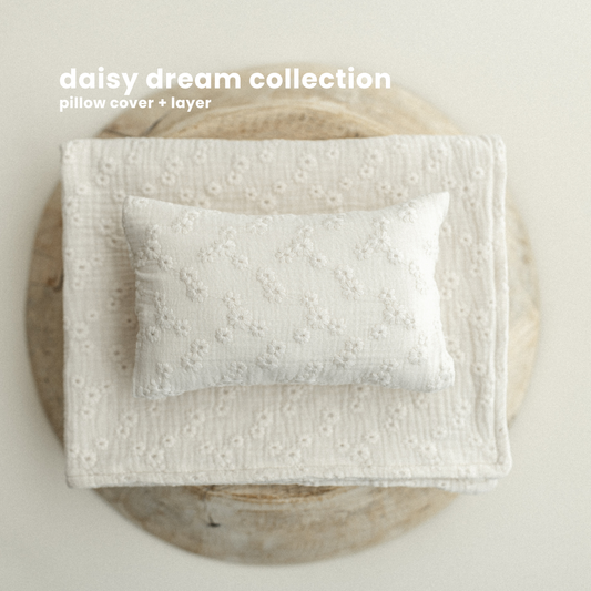 DAISY DREAM COLLECTION