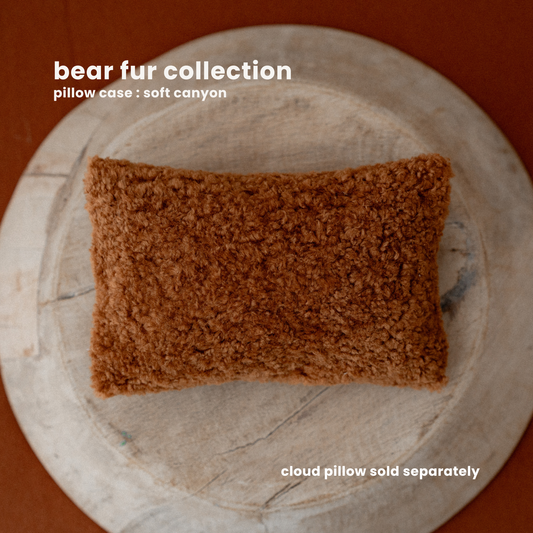 BEAR FUR : SOFT CANYON {pillow case}