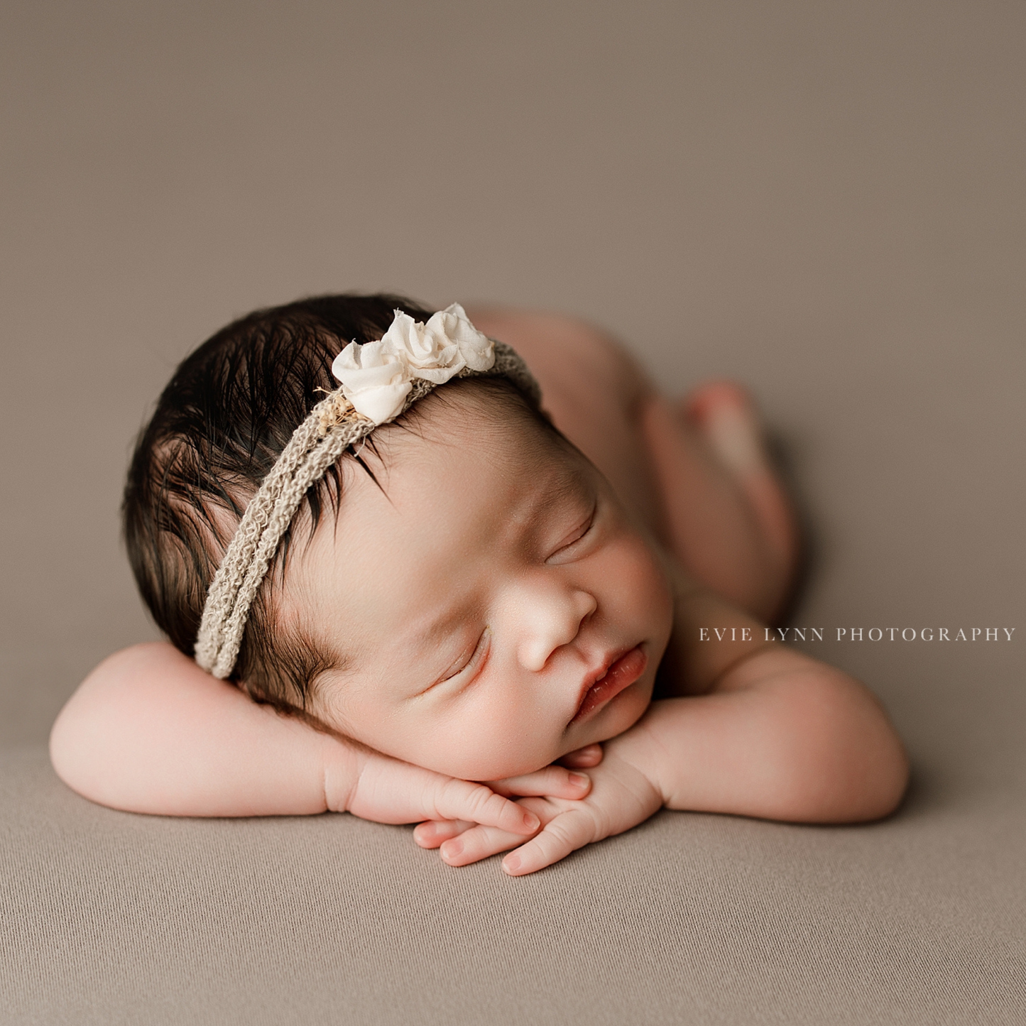 BAMBI COLLECTION : ACORN