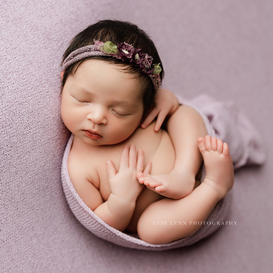 SIERRA COLLECTION : WISTERIA