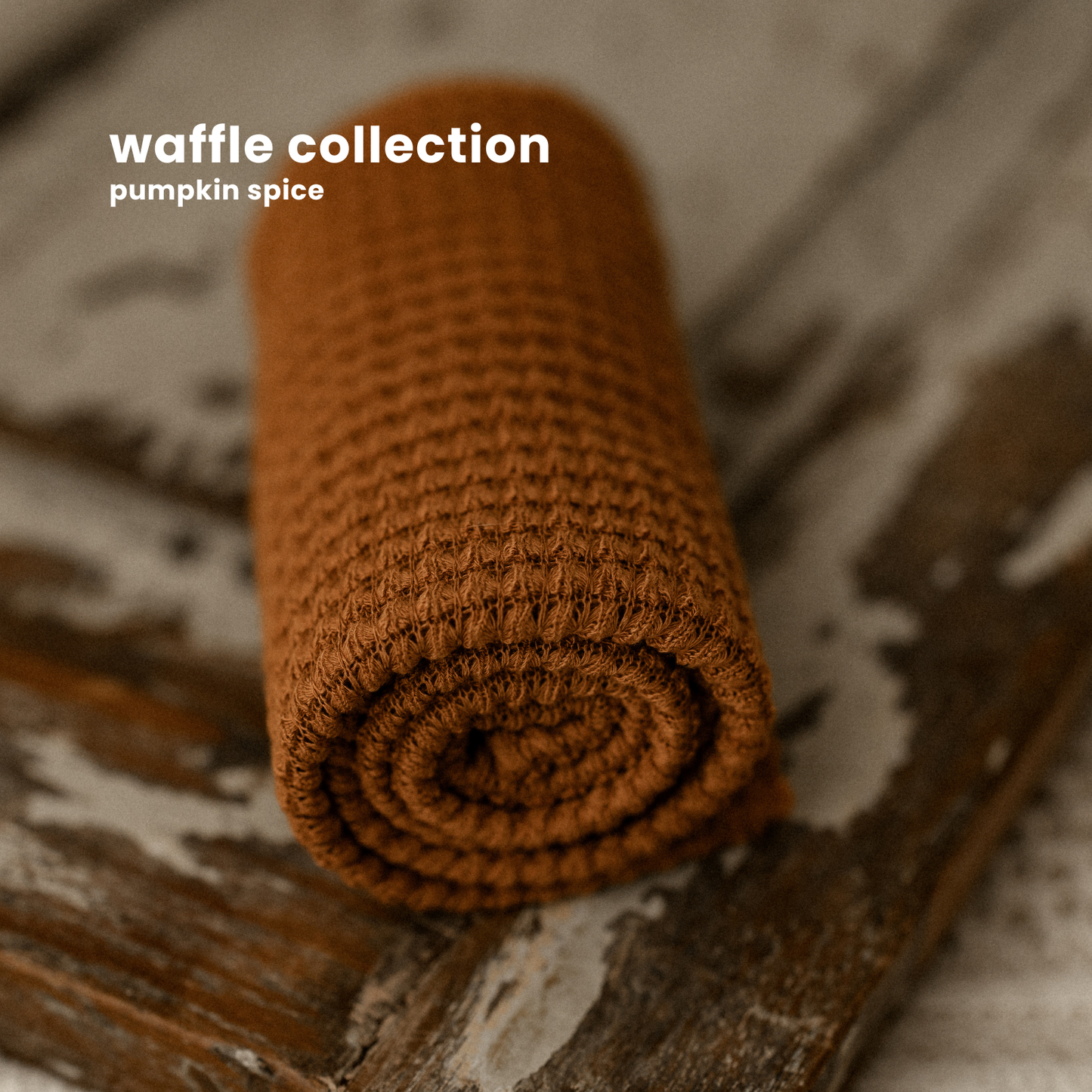 WAFFLE COLLECTION : PUMPKIN SPICE