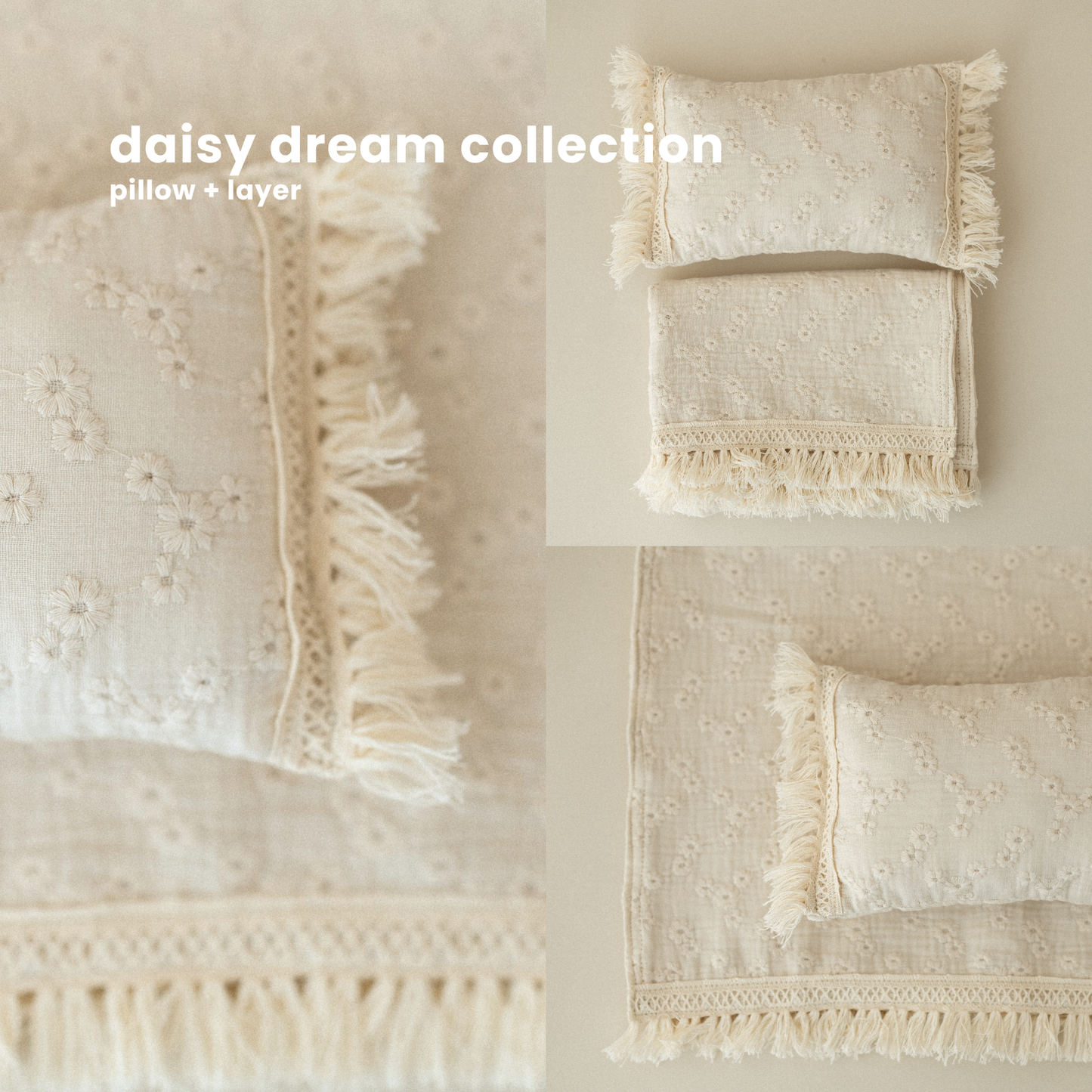 DAISY DREAM COLLECTION
