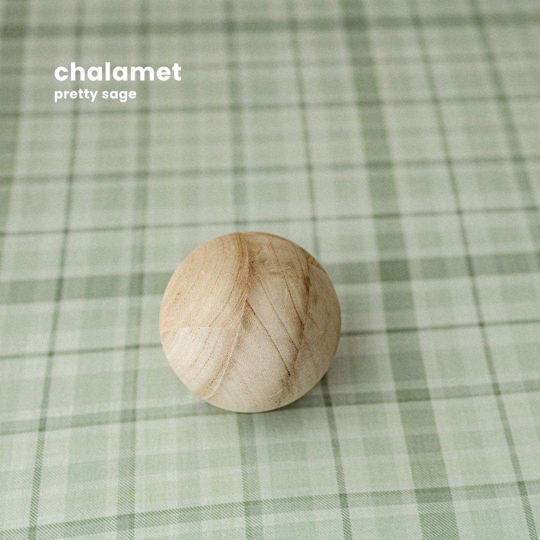 CHALAMET : PRETTY SAGE