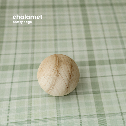 CHALAMET : PRETTY SAGE