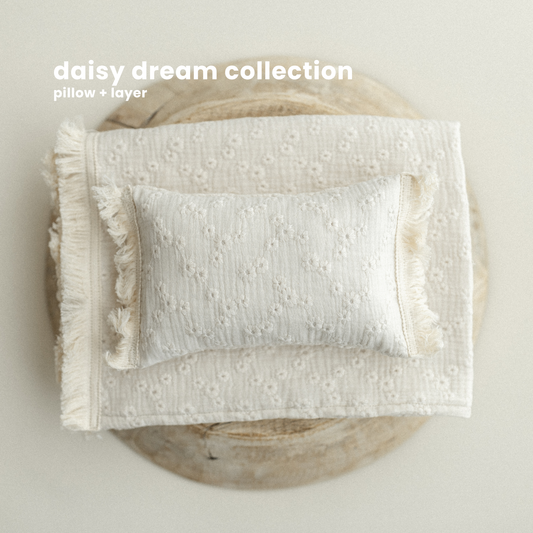 DAISY DREAM COLLECTION