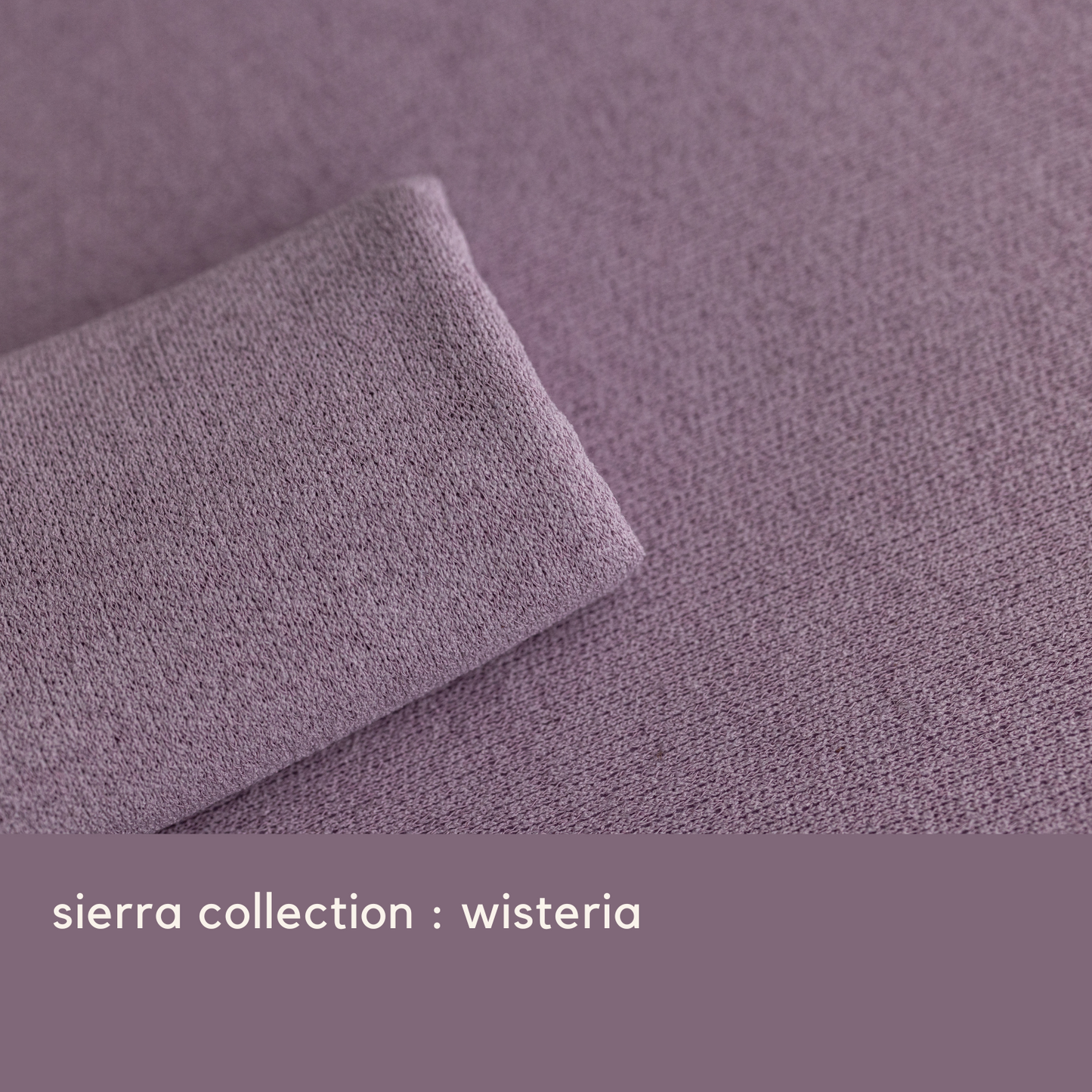 SIERRA COLLECTION : WISTERIA
